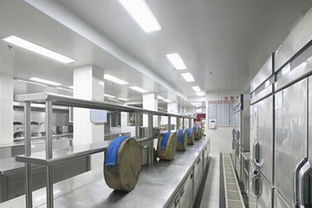 節(jié)能環(huán)保引領(lǐng)革新 廚房設(shè)備行業(yè)如何以綠色戰(zhàn)略贏取競(jìng)爭(zhēng)優(yōu)勢(shì)